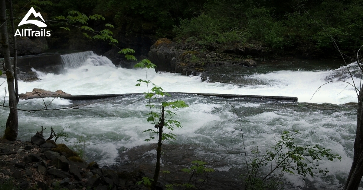 Best River Trails In Alberni-Clayoquot B | AllTrails