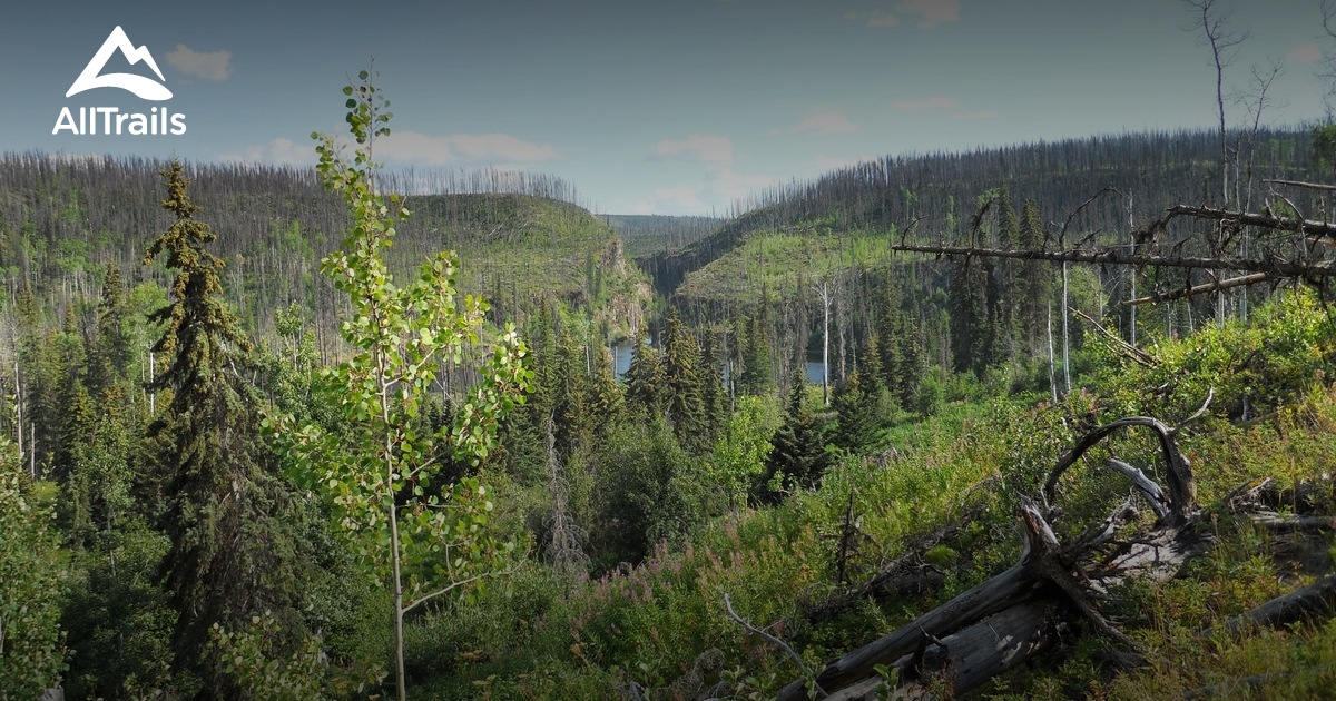 Best Hikes and Trails in BulkleyNechako D AllTrails
