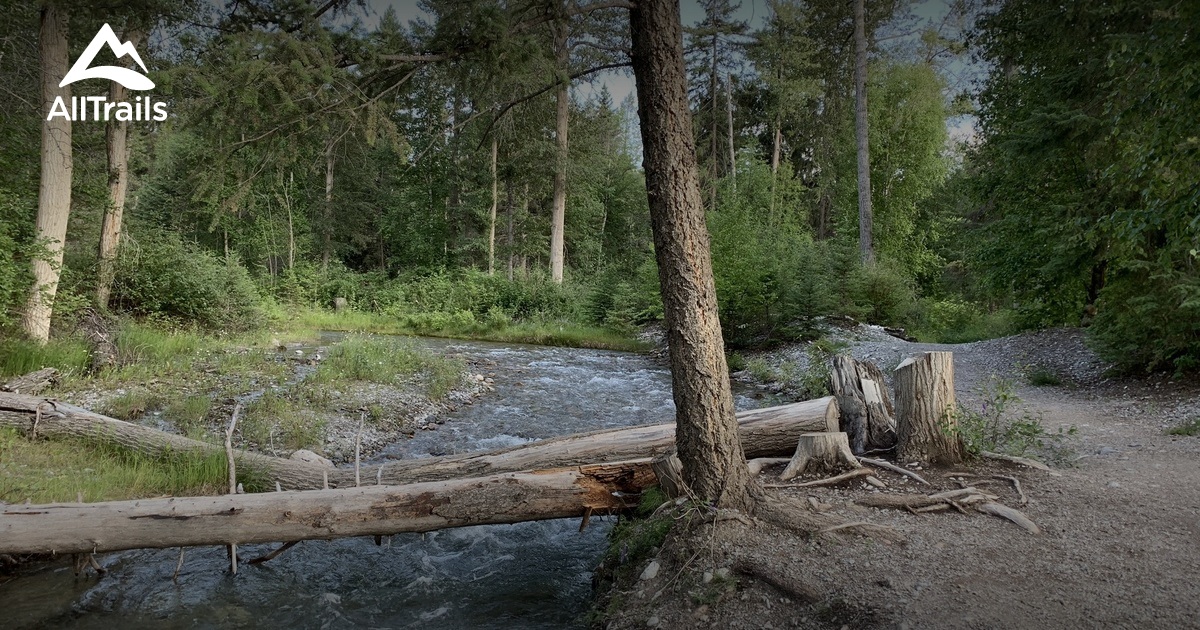 10 Best trails and hikes in Radium Hot Springs AllTrails