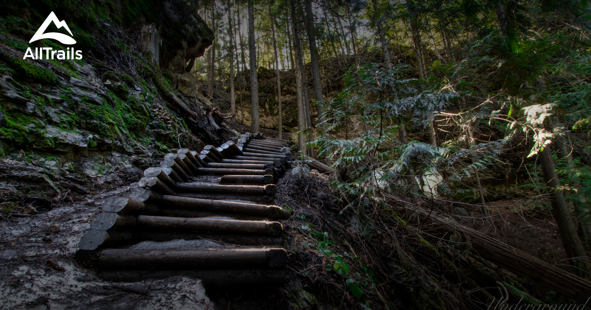 10 Best Mountain Biking Trails in Vernon AllTrails