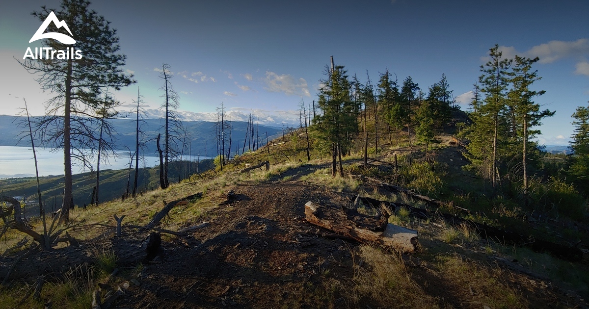 10 Best Trails and Hikes in Westbank AllTrails