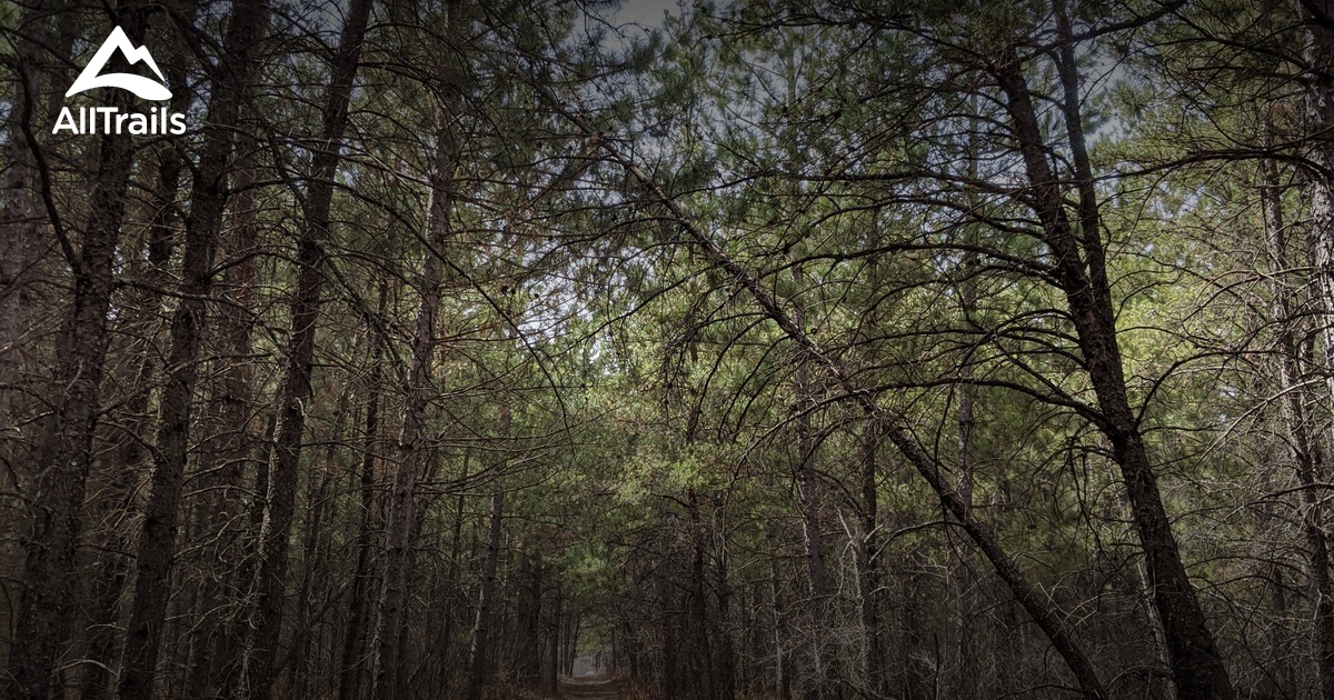 La Broquerie les meilleures randonnées et itinéraires AllTrails