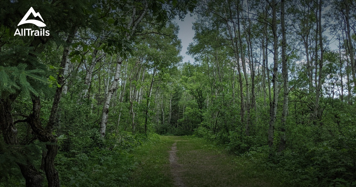 Best Hikes and Trails in Oakbank AllTrails