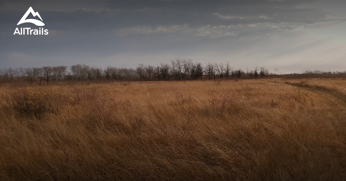 Best Hikes and Trails in Stuartburn AllTrails