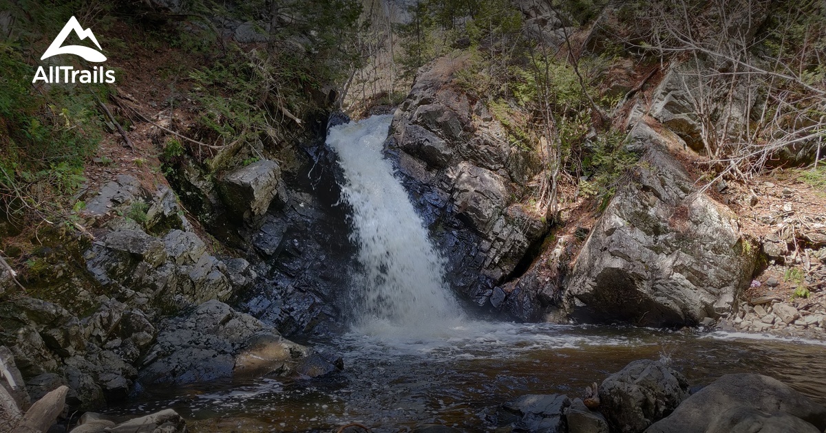 Best Trails near Bear Island, New Brunswick Canada | AllTrails
