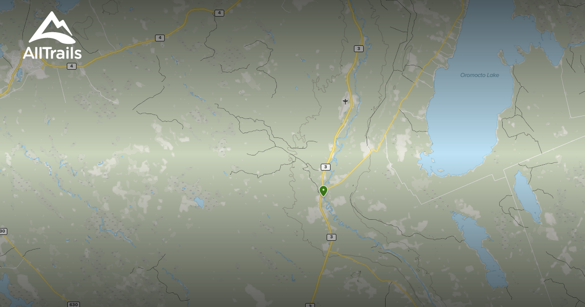 2023 Best Wild Flowers Trails in Brockway AllTrails