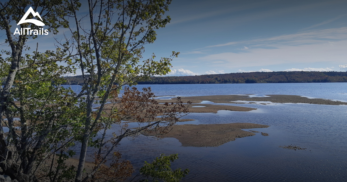 Best Hikes and Trails in Browns Flat AllTrails