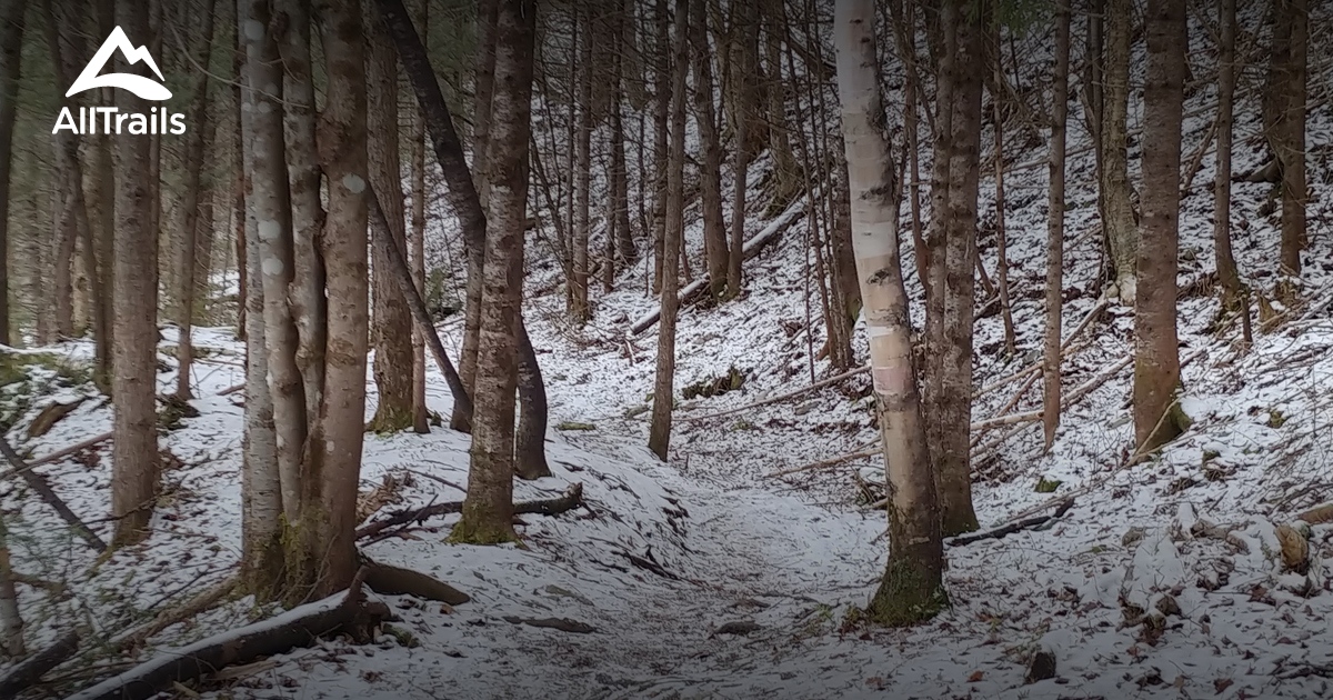 Best Hikes and Trails in FlorencevilleBristol AllTrails