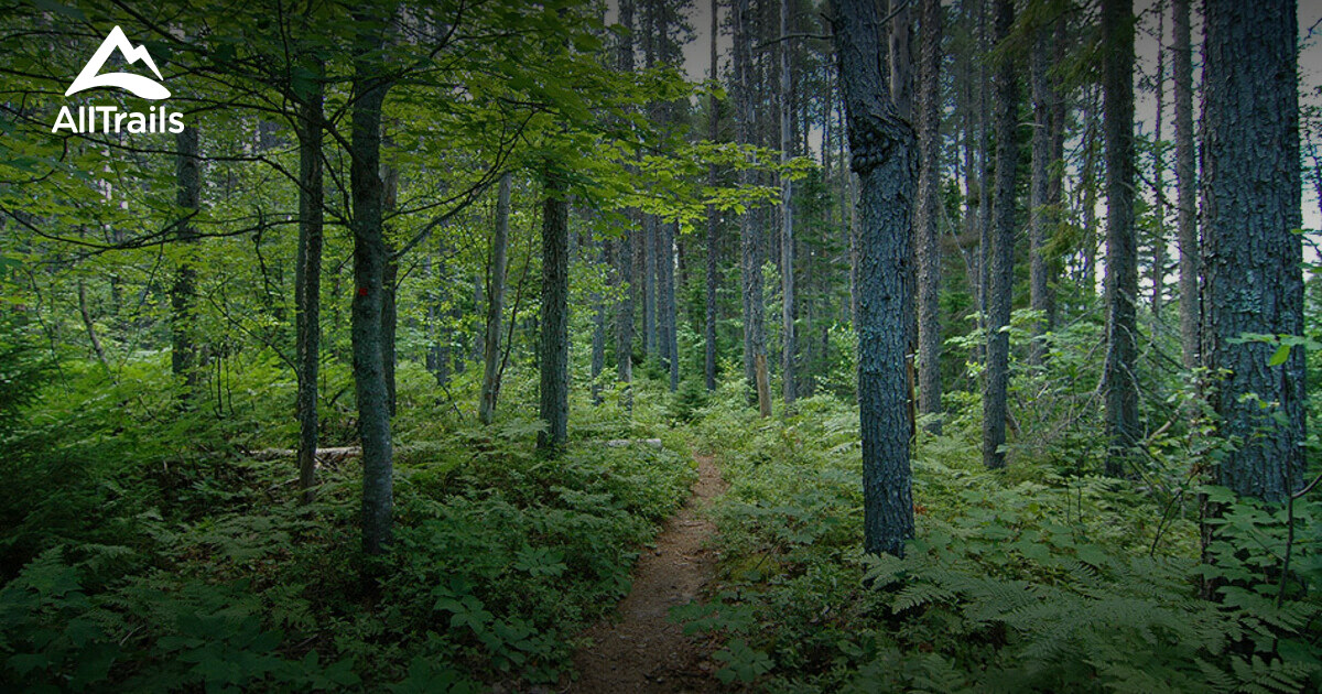 10 Best Trails, Walks, and Paths in Kouchibouguac AllTrails