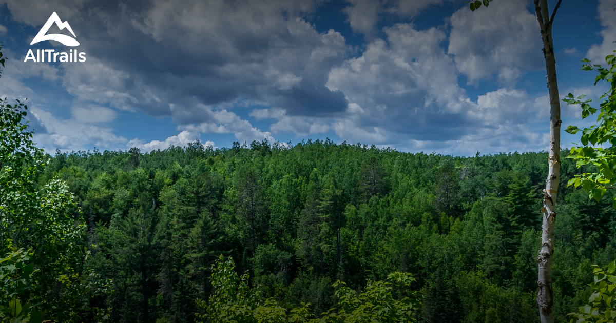 Best Hikes and Trails in Miramichi AllTrails