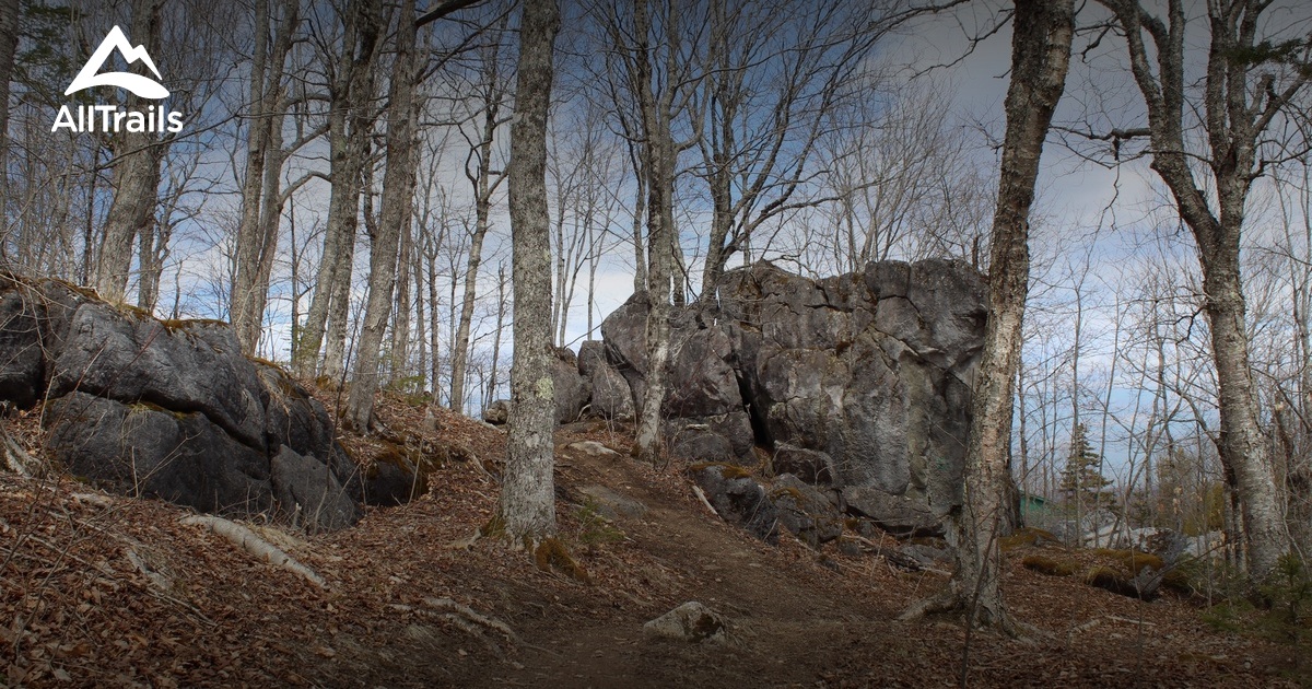 10 Best Trails and Hikes in Quispamsis AllTrails