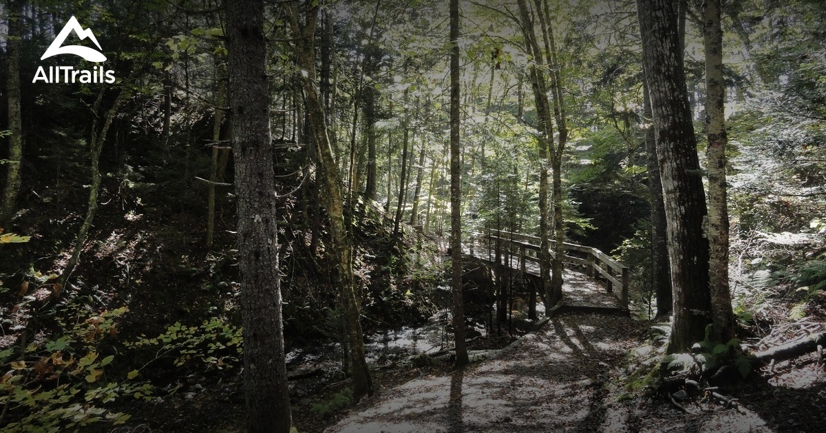 Best Hikes and Trails in RiversideAlbert AllTrails