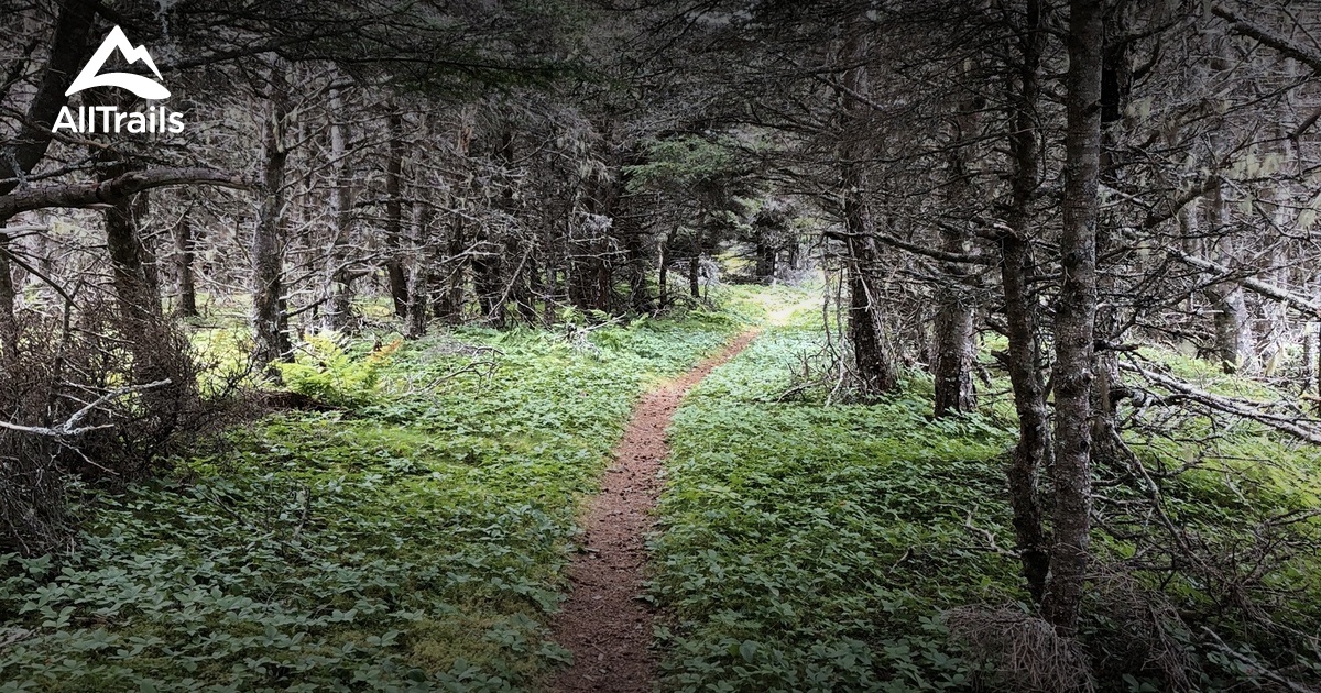 Best Hikes and Trails in Arnold's Cove AllTrails