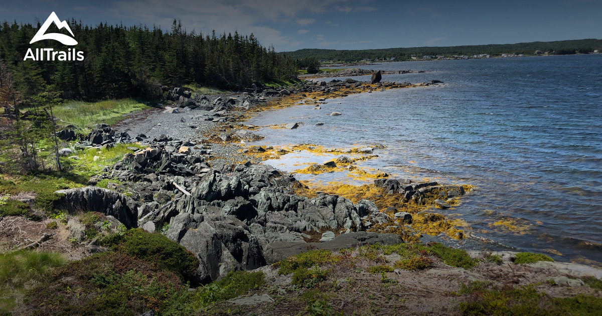 2023 Best Beach Trails in Aspen Cove AllTrails