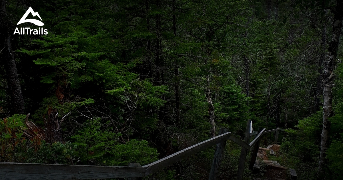 Best Hikes and Trails in Barachois Brook AllTrails