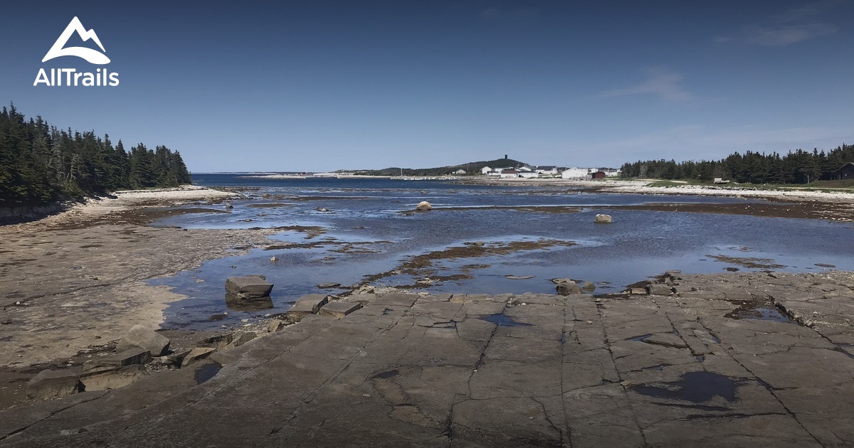 Best Hikes and Trails in Bird Cove AllTrails