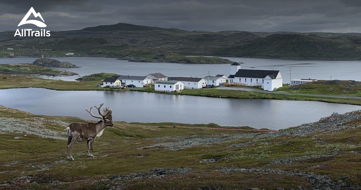 Best trails in Goose Cove East, Newfoundland and Labrador AllTrails
