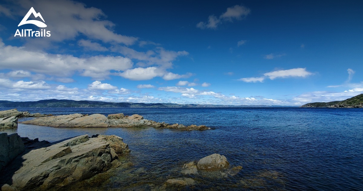 Best Hikes and Trails in Harry's Harbour AllTrails