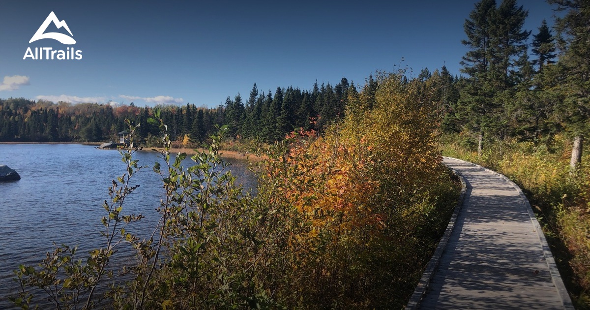 Best Hikes and Trails in Lewisporte AllTrails