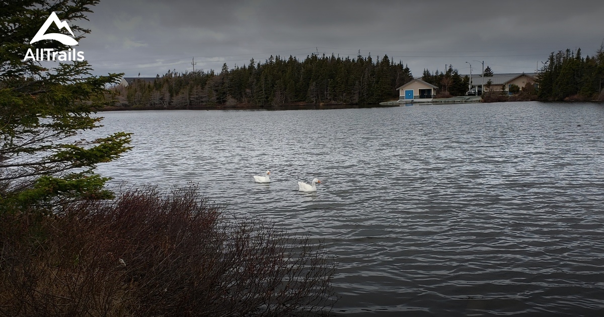 mount pearl newfoundland and labrador