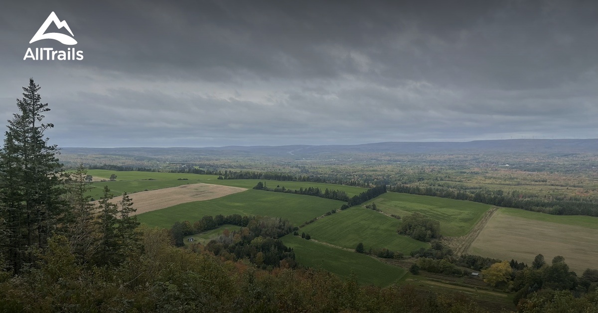 Best Hikes and Trails in Alma AllTrails