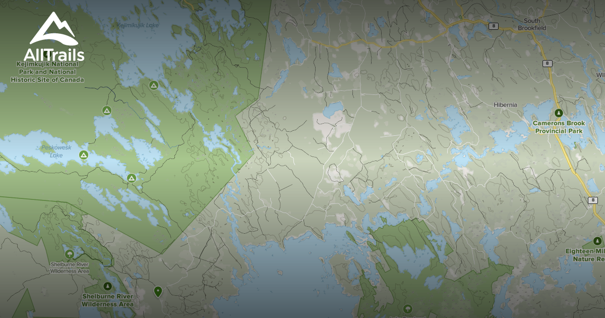 Best Forest Trails in Caledonia AllTrails