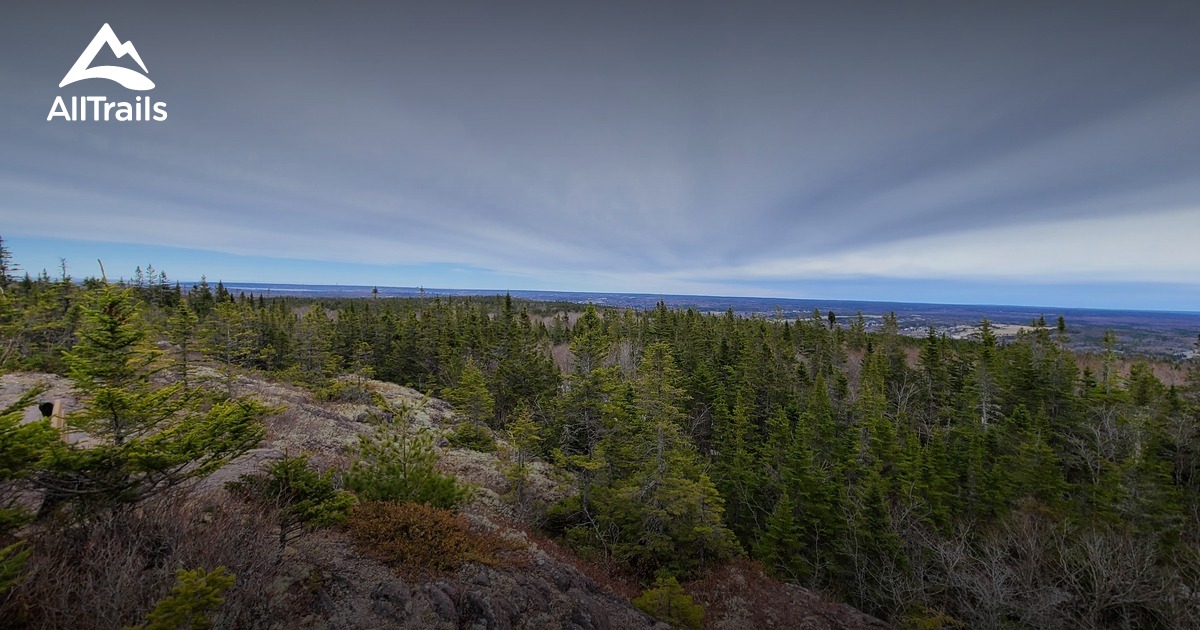 Best Hikes and Trails in Coxheath AllTrails