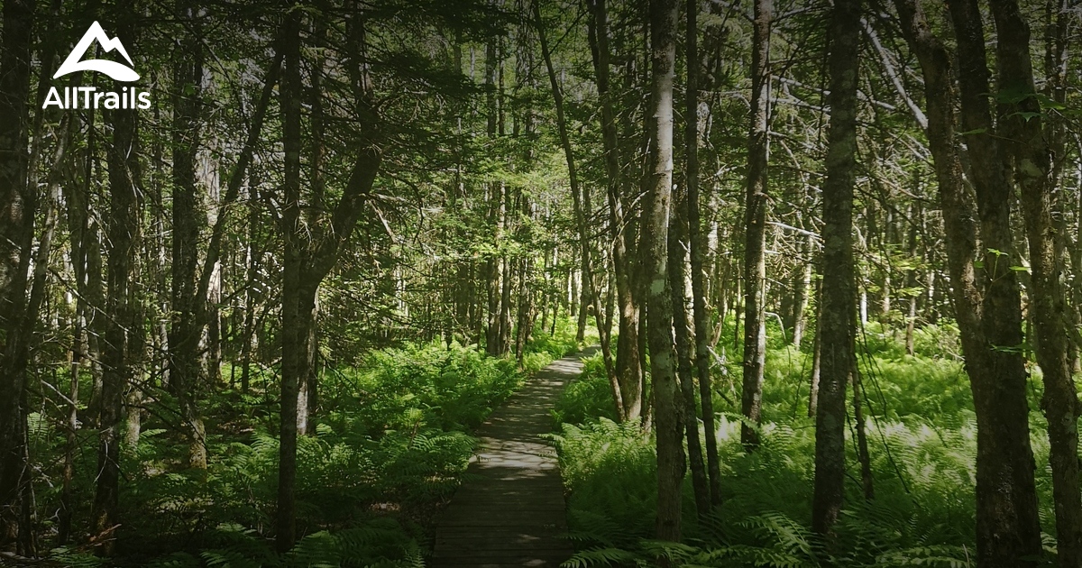 Best Hikes and Trails in Deerfield AllTrails