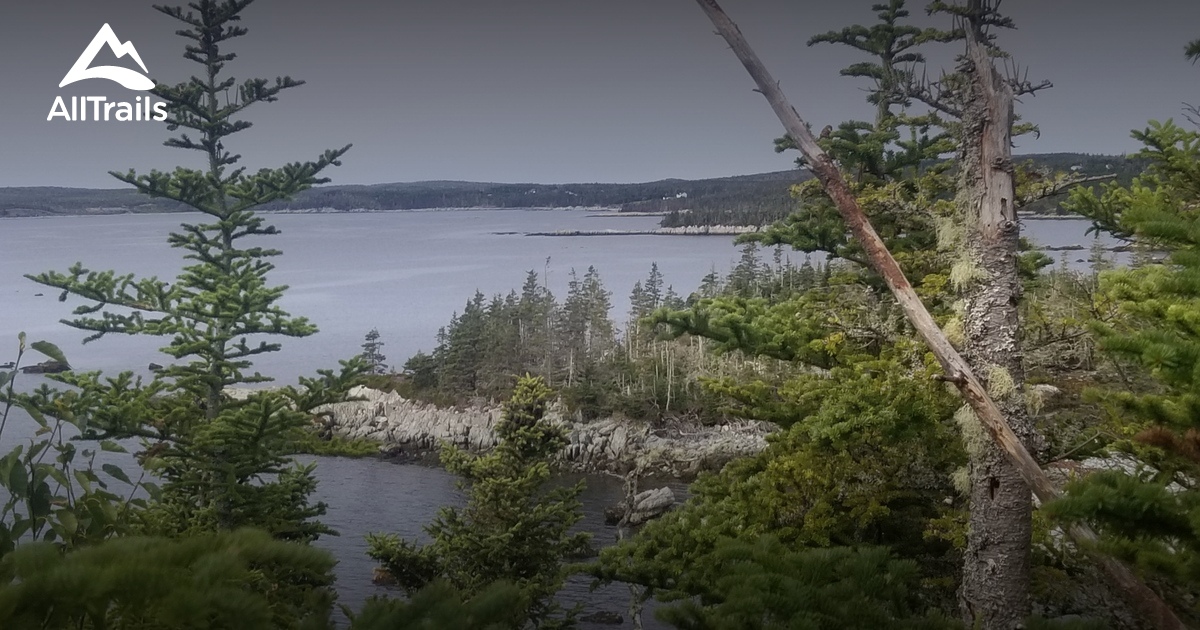 Best Hikes and Trails in East Ship Harbour AllTrails
