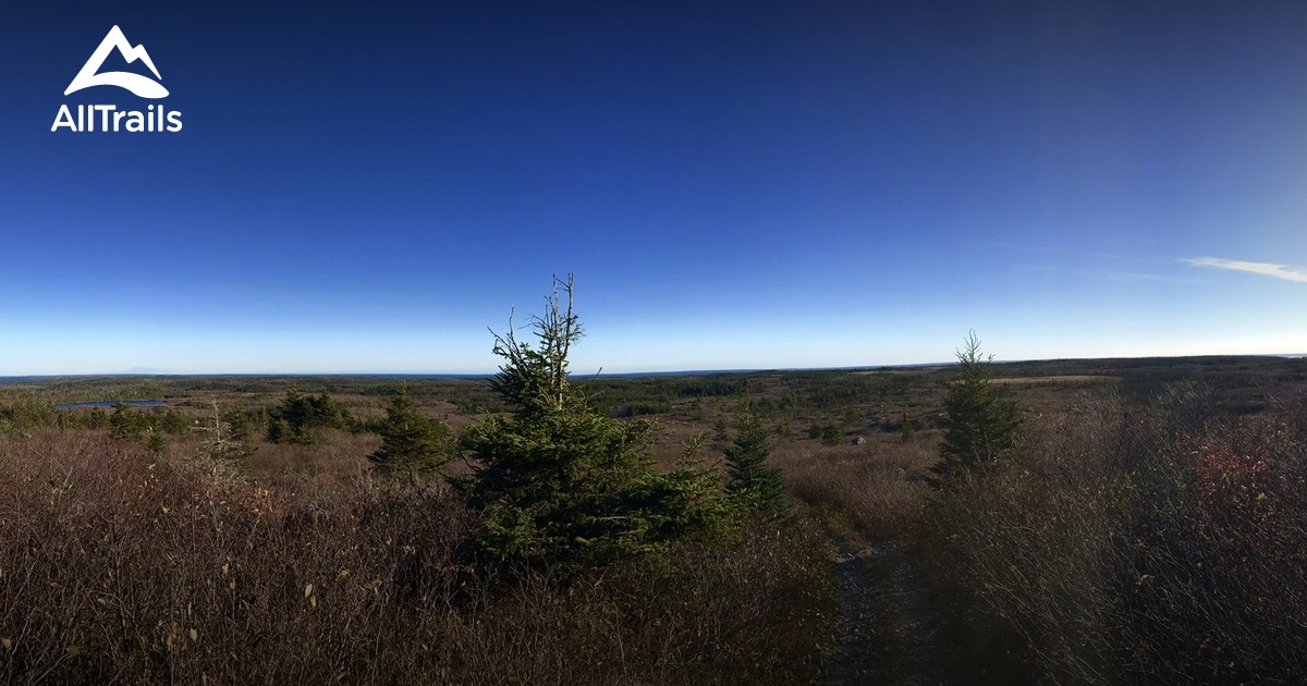 Best Hikes and Trails in Larrys River AllTrails