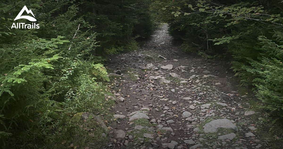 Best Hikes and Trails in Mineville AllTrails