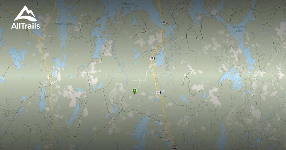 Best Hikes and Trails in Murphy Lake AllTrails