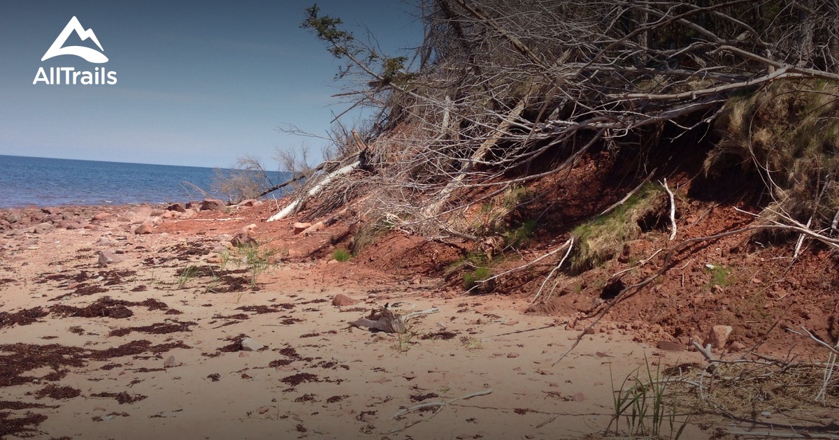 Best Hikes and Trails in Pictou AllTrails