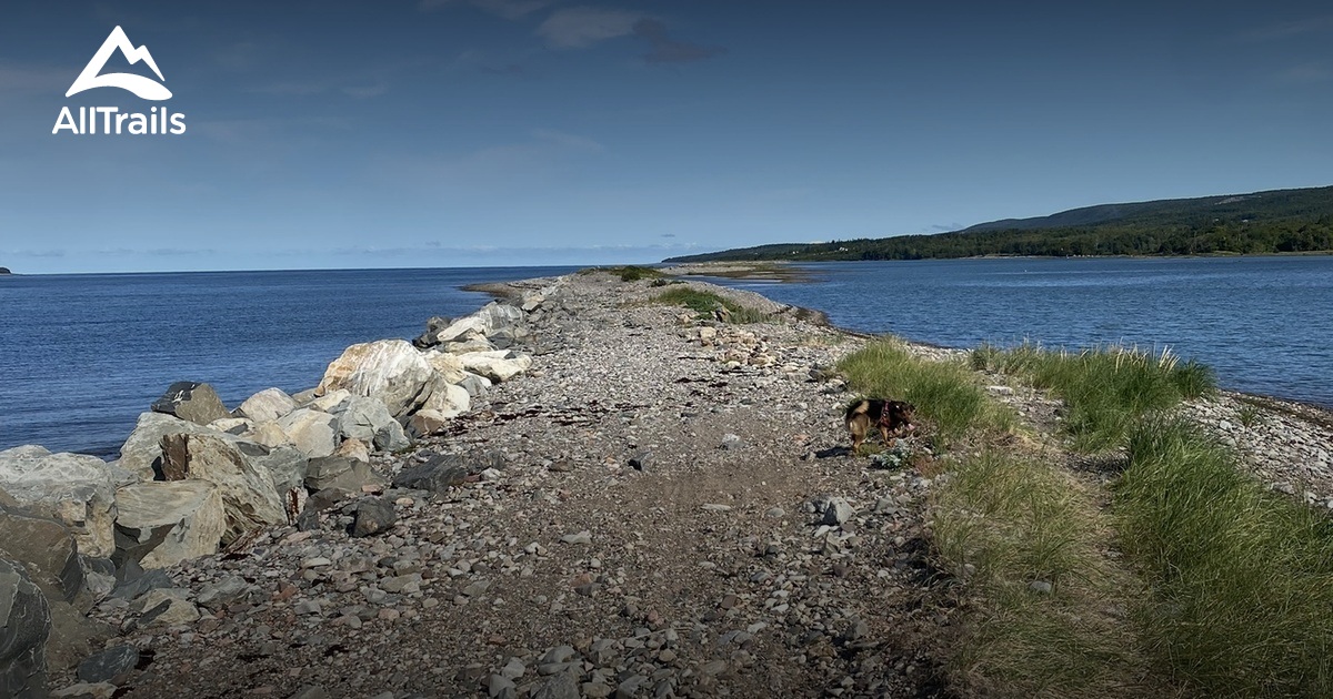 Best River Trails in Port Hastings AllTrails