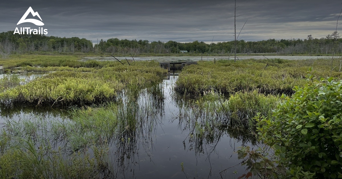 Best Hikes and Trails in Algoma Mills AllTrails