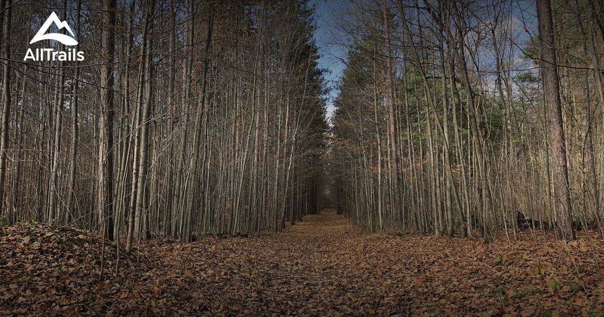 Best Hikes and Trails in Ballantrae AllTrails