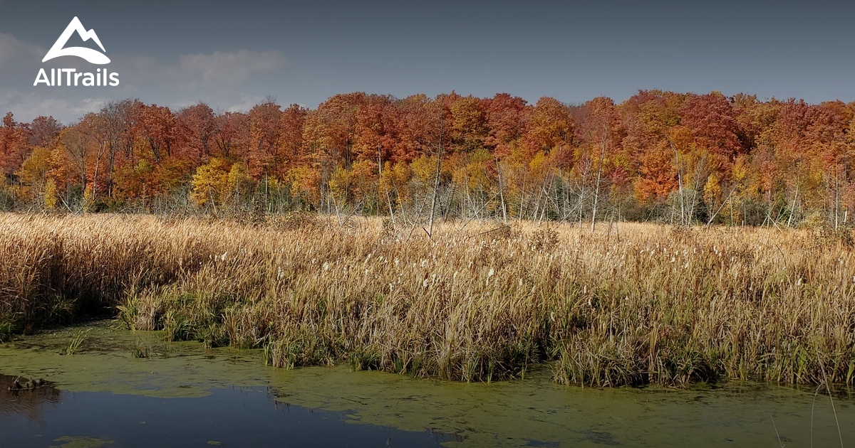 Best Hikes and Trails in Cannington AllTrails