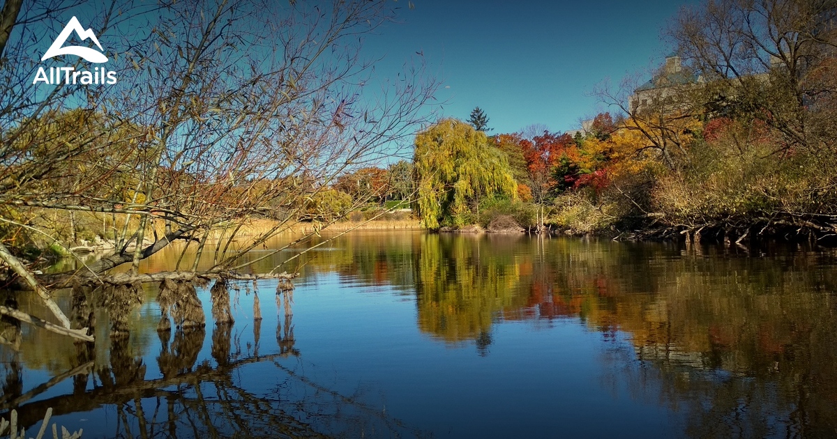 Best Hikes and Trails in Carlisle AllTrails