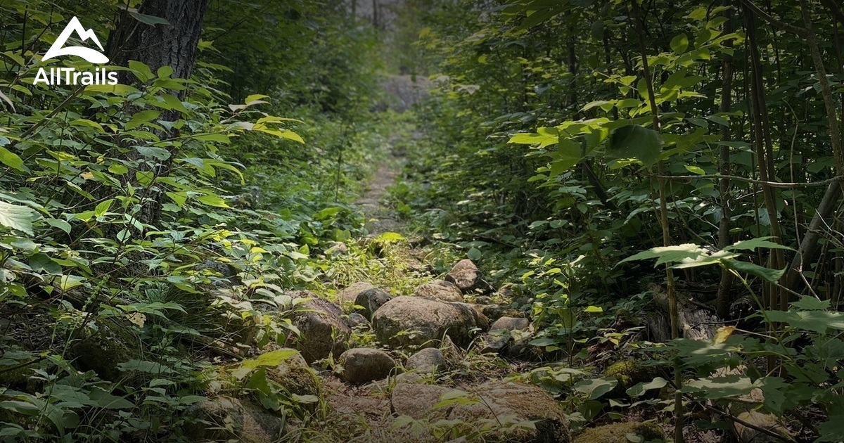 Best Hikes and Trails in Englehart AllTrails