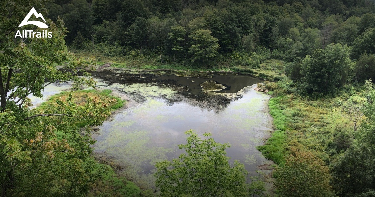 Best hikes and trails in Gananoque AllTrails