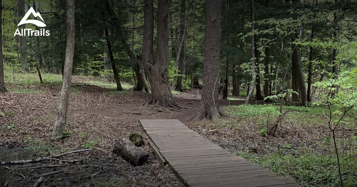 2023 Best trails in Innerkip AllTrails