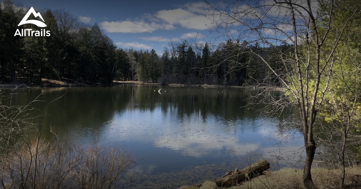 10 Best trails and hikes in Kitchener AllTrails