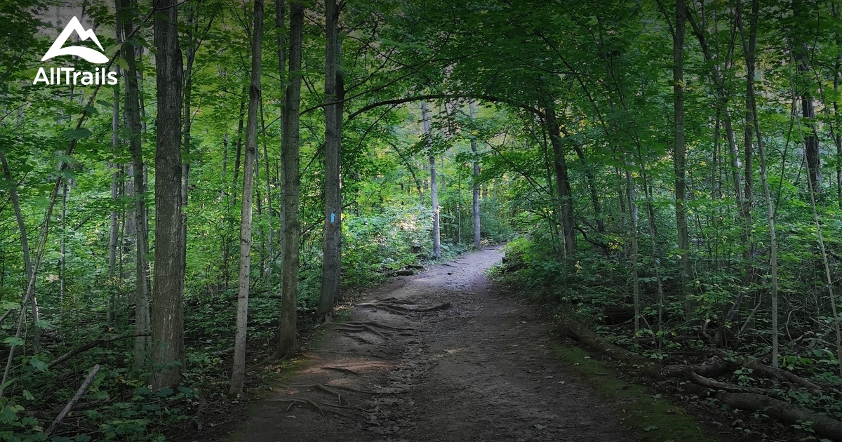 Best Hikes and Trails in Limehouse AllTrails