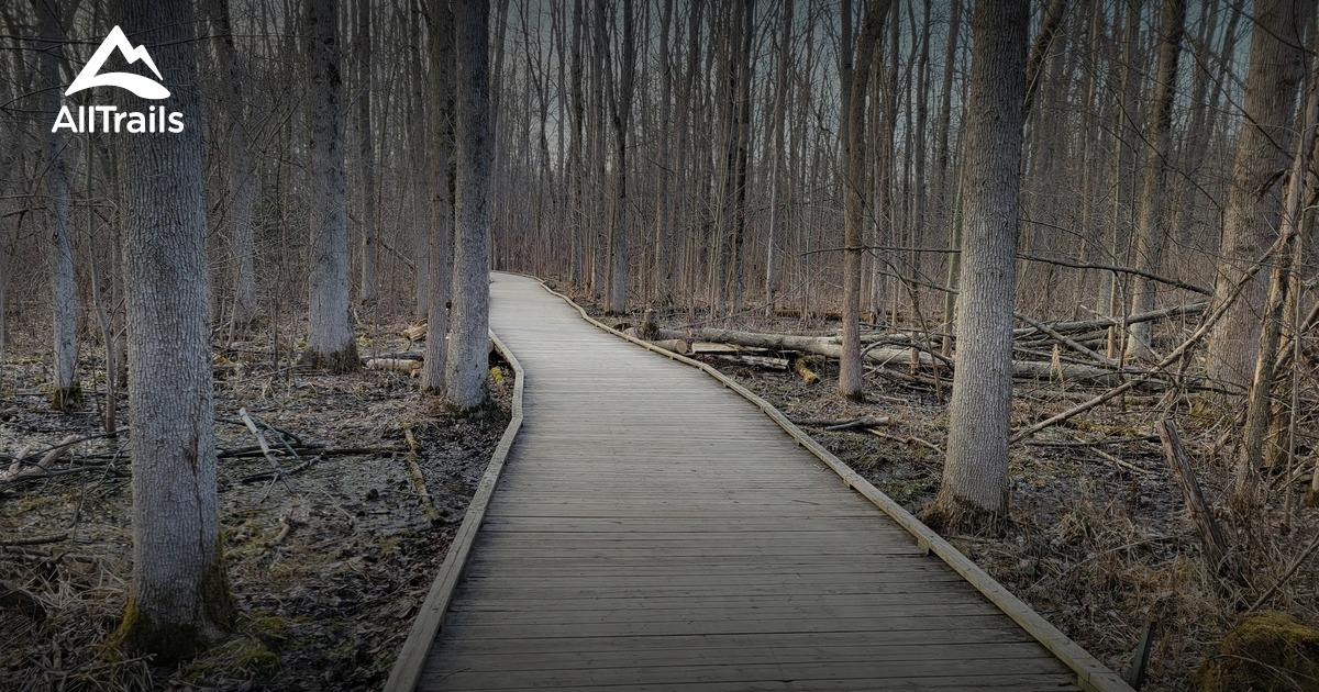 Best Hikes and Trails in Millgrove AllTrails