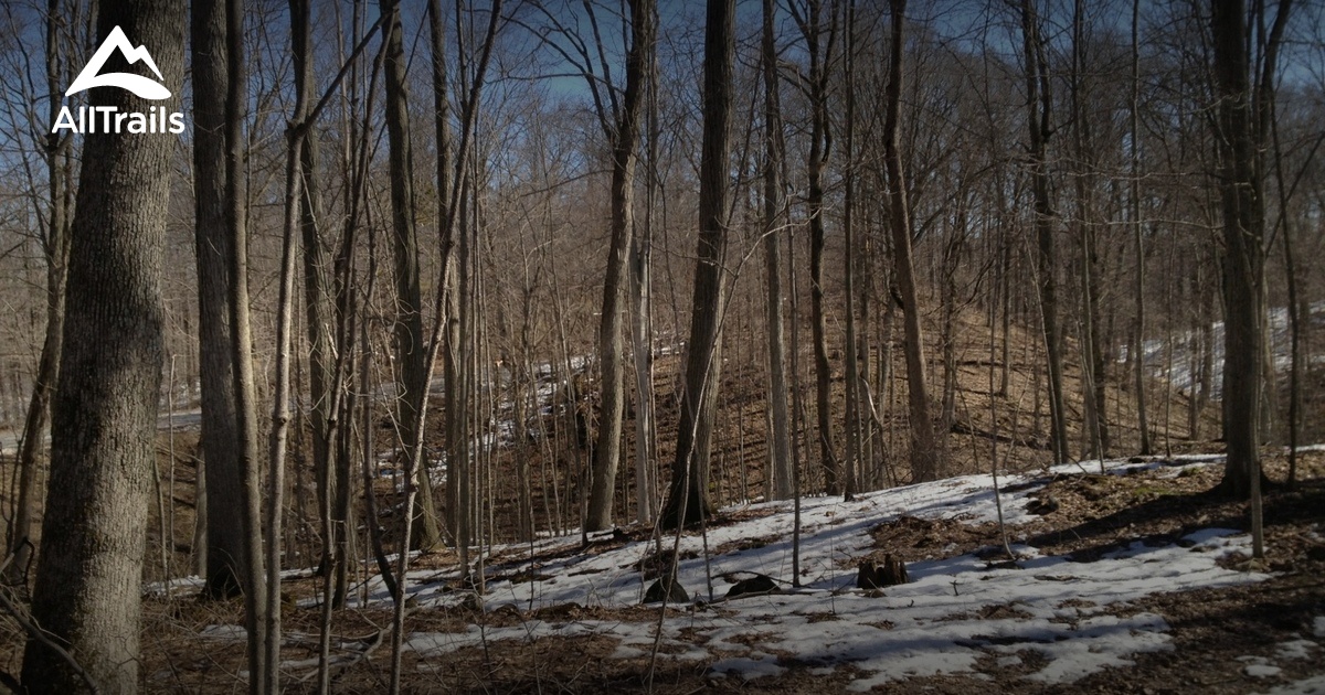 10 Best Trails and Hikes in North Dumfries AllTrails