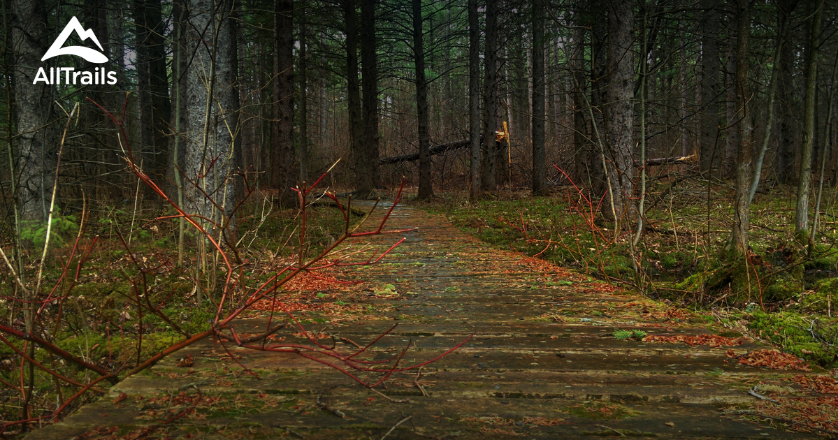 Best Hikes and Trails in North Stormont AllTrails