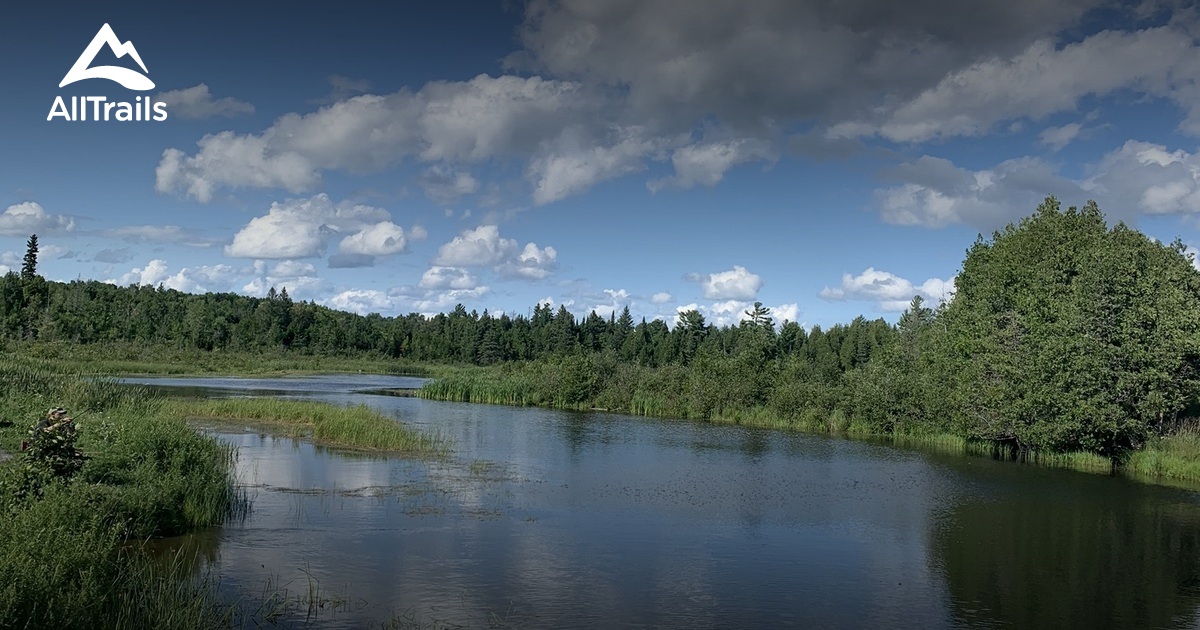 Best Walking Trails in Omemee AllTrails