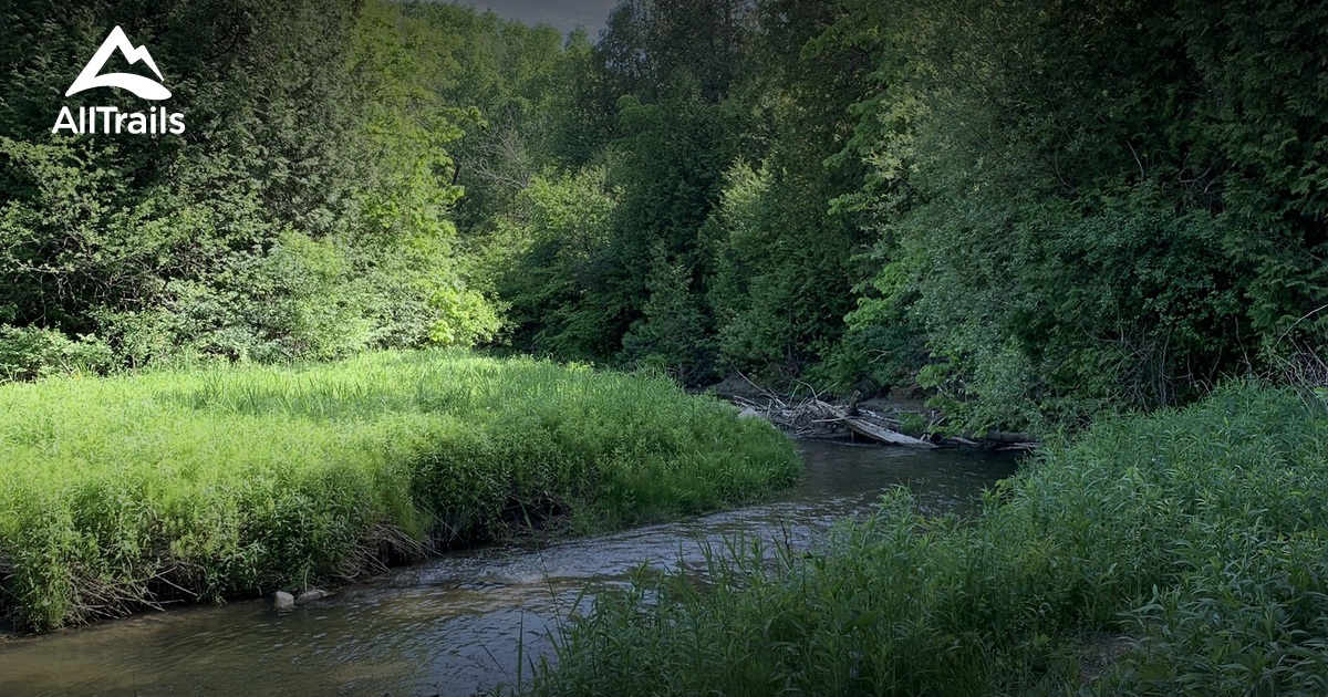 10 Best Easy Trails in Oshawa AllTrails
