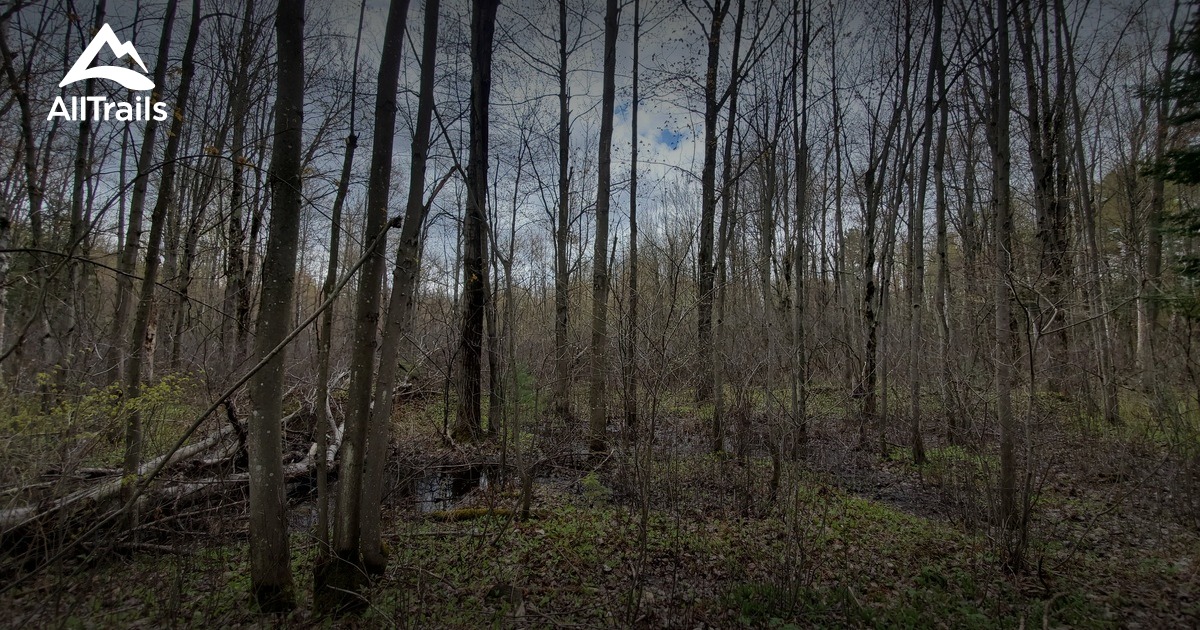 Best Snowshoeing Trails in Ramsayville AllTrails