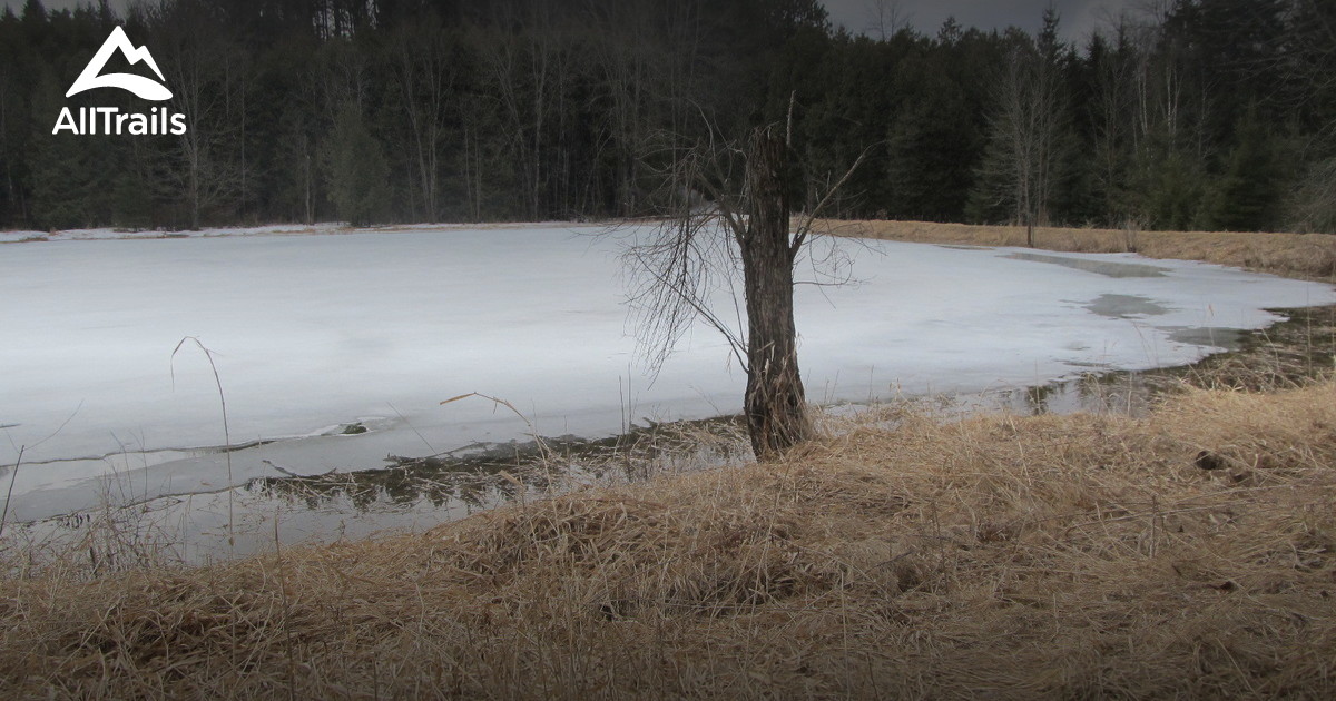 Best Trails near Tweed, Ontario Canada AllTrails